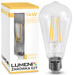 E27 filament Transparant 14W WW   